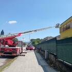 immagine Scuola da abbattere, prima il salvataggio dei nidi