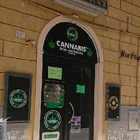 Il divieto di vendita della cannabis, a Viterbo la rabbia degli imprenditori: «E il nostro investimento?»