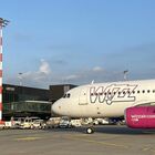Ryanair e Wizz Air, passeggeri e load factor 