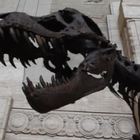 Milano, il T-Rex più grande al mondo alla stazione Centrale