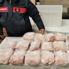 Roma, cibo scaduto da anni nei supermercati della nota catena: sequestrate sei tonnellate di alimenti, denunciato un 63enne