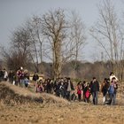 immagine Dalla Siria alla Libia/Le conseguenze dello strappo Russia-Turchia