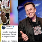 Putin, Elon Musk lo provoca sui social
