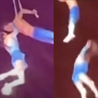 Trapezista cade durante un'esibizione con il marito: tragedia al circo, morta davanti al pubblico. La polemica: «Nessuna protezione»