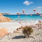 «Caro turista, non è vero che la Sardegna è cara», il post del blogger diventa virale