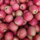 Le mele hanno un potere antinfiammatorio