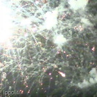 Ostia, fuochi di artificio sul lungomare per festeggiate il nuovo anno