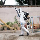 Dengue, l'Italia alza il livello di allerta
