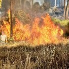 Incendi Sicilia, a Enna le fiamme minacciano le case: famiglie evacuate