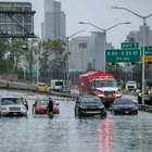 New York continua l'emergenza: «La situazione è pericolosa, rimanete a casa». Una foca evasa da Central Park