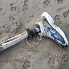 Resti umani a Paestum, in spiaggia una gamba ancora con la scarpa trovata da un turista
