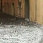 Nubifragio a Verona, uomo intrappolato da muro di grandine e acqua