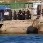 Migranti, la nave Alex forza il blocco e attracca a Lampedusa