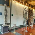 Gli Uffizi "raddoppiano", a Firenze arrivano gli alberi di Penone e all'Isola d'Elba sbarcano i segreti di Napoleone