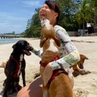 Dottoressa si trasferisce in Thailandia per aiutare i cani abbandonati e disabili: «Tutti si dimenticano di loro, ma Sybille no»