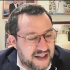 Salvini: "Drammatico calo nascite"