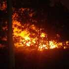 Incendi boschivi, danni e paura nel Cassinate: esplodono ordigni