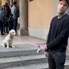 Chiara Ferragni a scuola con il cane: «Paloma pronta per il torneo di parkour». Il «reset» prima della Parigi Fashion Week