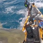 Squalo attacca pescatore sul kayak: l'assalto choc ripreso dalla telecamera