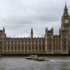 Westminster, palazzo invaso da topi ed escrementi: «Resistono anche al veleno»