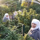 Ecco le “Sisters of the valley”, le suore hippie che coltivano cannabis in California
