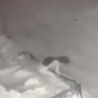 Bimba di 6 anni precipita dal quarto piano e atterra sulla neve: salva dopo un volo di 12 metri Il video