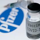 Vaccino Pfizer, prime 9.750 dosi per Italia il 27 dicembre allo Spallanzani. Subito le somministrazioni