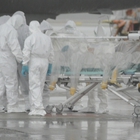 L'esercitazione anti-Ebola a Malpensa
