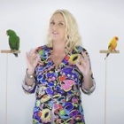 Portobello, l'ira degli animalisti: «Liberate i pappagalli!». Ecco cosa sta succedendo