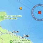 Terremoto Puglia di 4.7, avvertito a Bari, Brindisi, Foggia e in tutto il Gargano. La scossa in Adriatico