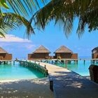 Maldive, resort ricerca "libraio scalzo" 