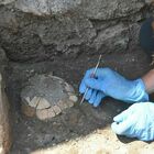 Pompei, riaffiora tartaruga di duemila anni con il suo uovo: la tana sotto una bottega