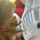 Diletta Leotta presenta la figlia Aria al cagnolino Lillo: «Benvenuta a casa»
