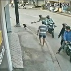 Cina, sparano al cane per strada e lo rapiscono