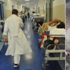 Topo morto sul cibo dell'ospedale di Modena: «Fatto gravissimo, non si esclude dolo»