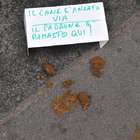 Milano, escrementi dei cani: ironia e inciviltà sul...