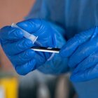 Coronavirus Lazio, l'ultimo bollettino dello Spallanzani: «Ricoverati 250 pazienti, 43 in Terapia Intensiva»