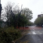 Maltempo a Napoli, chiude via Petrarca: rischio crollo alberi, residenti furiosi
