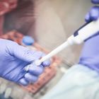 Coronavirus, il presidente Irbm di Pomezia: «Il vaccino? Già inviate a Oxford centinaia di dosi per i test»