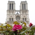 Notre Dame de Paris, il romanzo di Victor Hugo balza in vetta alle vendite su Amazon
