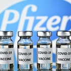 Annuncio di Pfizer: «Nostro vaccino efficace al 95%». Test su 43.500 persone senza problemi. Oms: seconda ondata combattuta senza cure