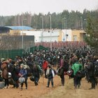 Migranti, la Polonia costruirà un muro al confine