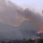 Incendi in Sicilia, la Regione chiede aiuto al governo