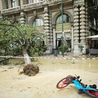 Maltempo a Milano, il bilancio di Sala: «Abbattuti 5mila alberi, vogliamo ripiantarli tutti». Nuova allerta in città