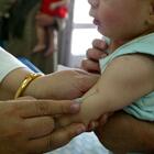 Vaccino ai bambini fino ai 5 anni, Palù (Aifa): «Verosimile arriverà nei primi 6 mesi del 2022»