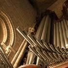La gioia dell'organista «L'organo è salvo»
