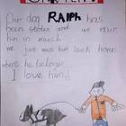 Il suo cane viene rapito, bimbo di 7 anni disegna i volantini per cercarlo e lo ritrova