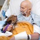 Ex soldato in fin di vita incontra il suo cane in ospedale per dirgli addio: era l'ultimo desiderio