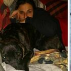 Aggredita da un cinghiale a Roma: «Salvata dal mio cane Ettore». Parte una "zona rossa" per contenerli