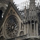 Notre Dame, il procuratore: «Privilegiata l'ipotesi dell'incidente, sentiremo gli operai»